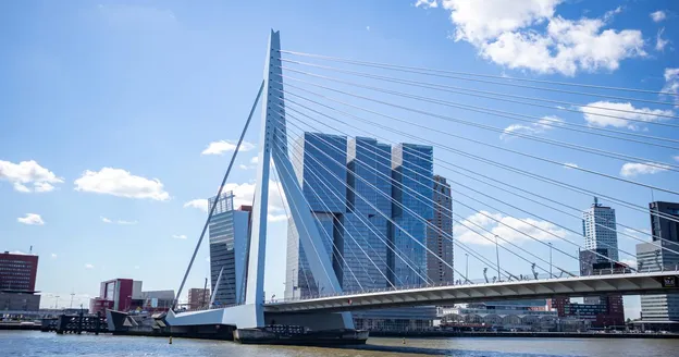 Amsterdam vs Rotterdam Vertaaldiensten: Welke Stad Kiezen voor Jouw Project?